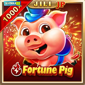 fortune pig