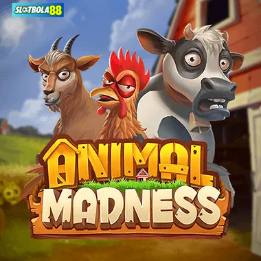 Animal Madness